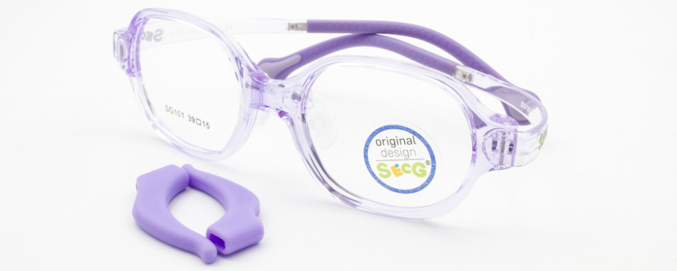 SECG 101 C5