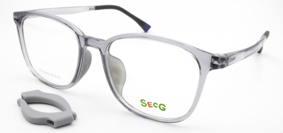 SECG 5010 C8