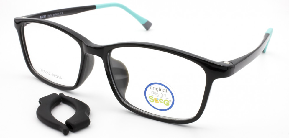SECG 5012 C6