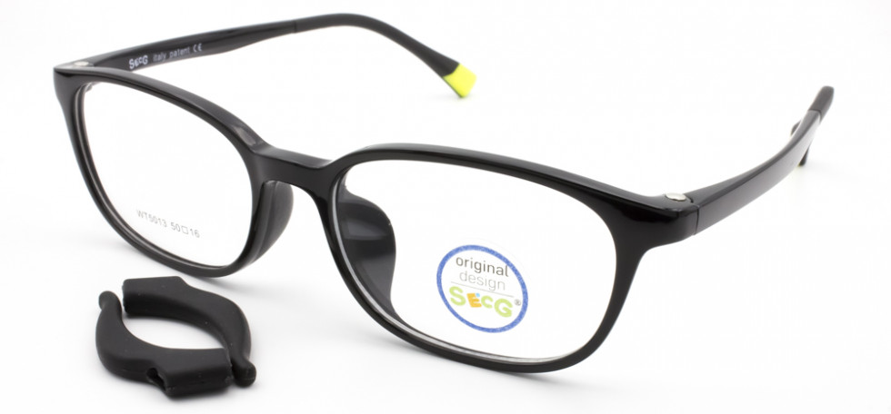 SECG 5013 C1