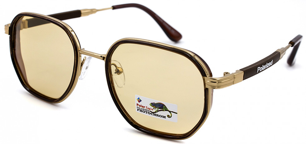 POLAR EAGLE 06126 C2