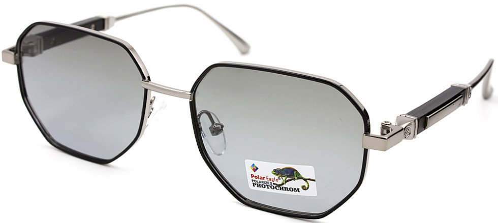 POLAR EAGLE 06234 C4