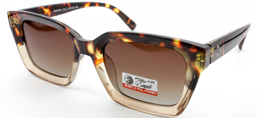 POLAR EAGLE 09306 C02
