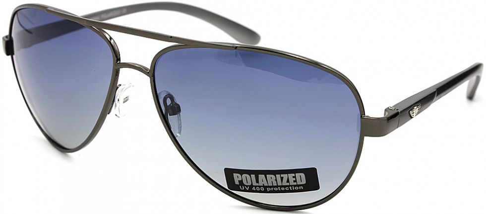 POLARIZED 313P C4
