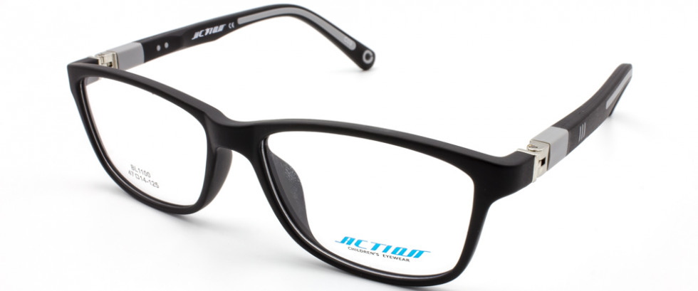 ACTION 1100 C09-1