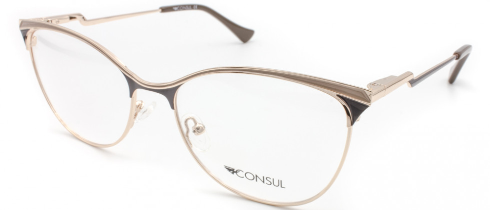 CONSUL 3819 C2