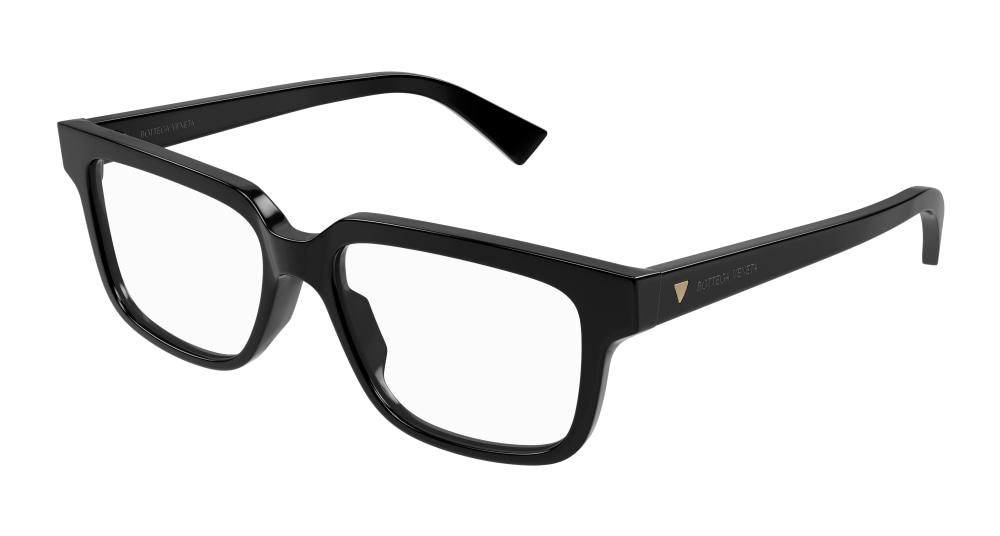 Bottega Veneta BV1256O 005