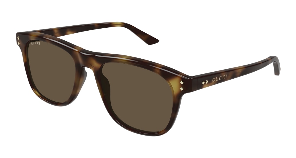 GUCCI GG1893S 002