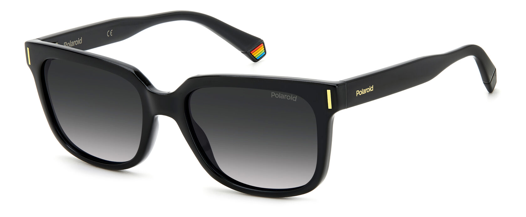 POLAROID PLD 6191/S 807