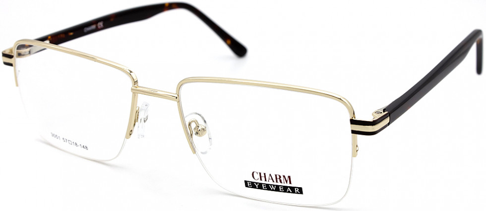 CHARM 3051 C1