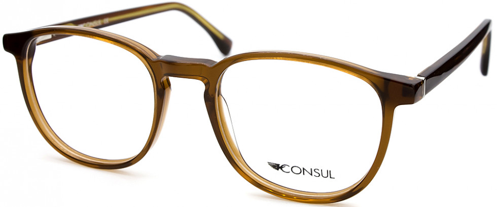 CONSUL 2310FH C6