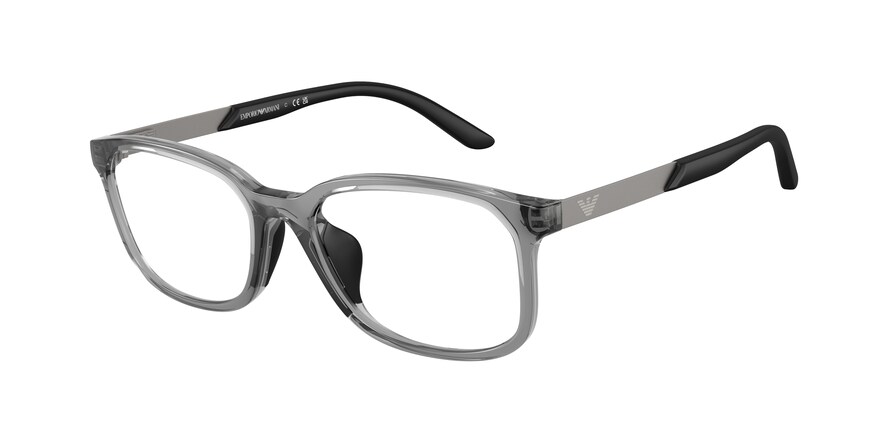 Emporio Armani 0EK3008U 6491