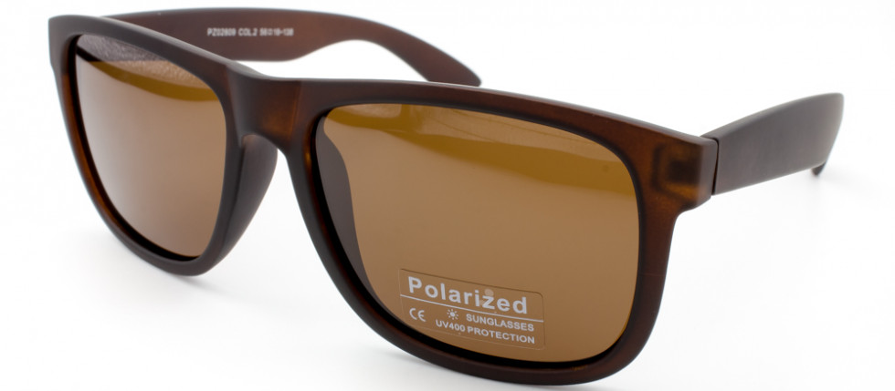 POLARIZED 02809 C2