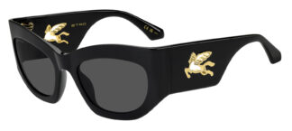 Очки ETRO  солнцезащитные купить