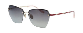 Очки Bogner  солнцезащитные купить