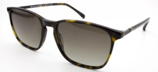 Очки LORENZO LOTTO  солнцезащитные купить