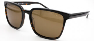 Очки LORENZO LOTTO  солнцезащитные купить