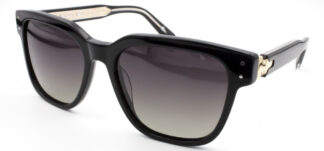 Очки LORENZO LOTTO  солнцезащитные купить