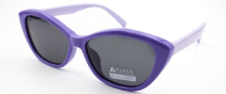 Очки FLACK  солнцезащитные купить