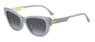 Очки ETRO  солнцезащитные купить